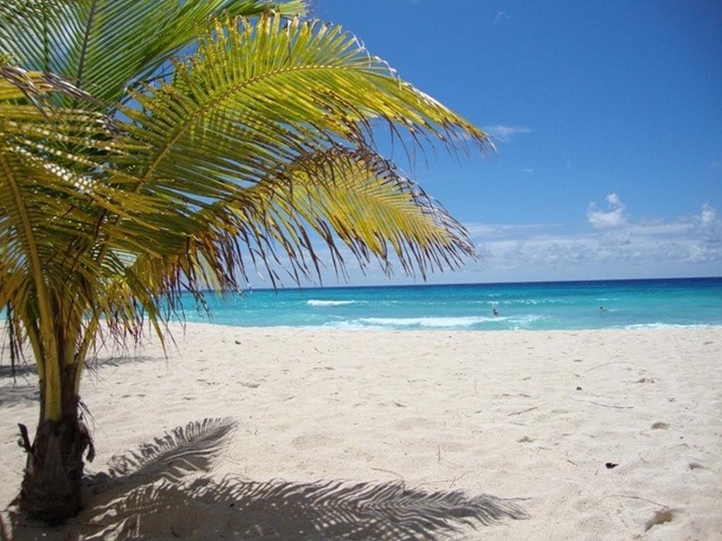 Beach Guest House Cleverdale Bridgetown Room photo